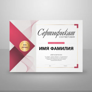 Макет диплома и сертификата №2